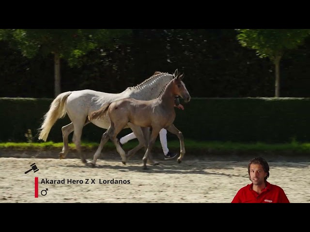 Akaradanos C G Z