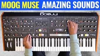 Video thumbnail for Moog Muse Full Sound Tour 🚀 No Talking! by Sanjay C
