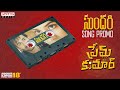 Sundari Song Promo | Prem Kumar | Santosh Soban, Rashi  | Abhishek Maharshi  | S. Anant Srikar