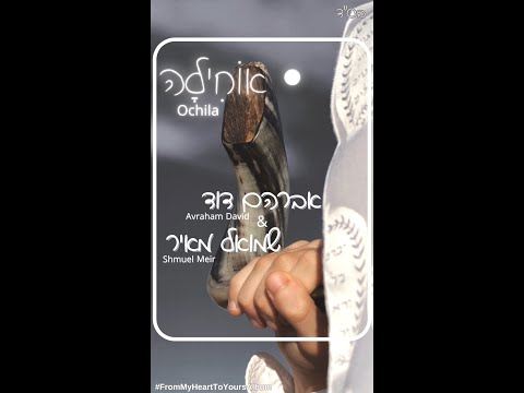 Avraham David feat. Shmuel Meir - Ochila |  אברהם דוד ושמואל מאיר - אוחילה