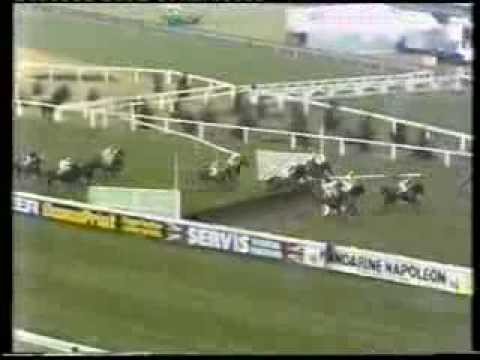 1982 Ladbroke Topham Trophy Handicap Chase