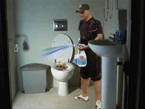 Celebrity Bog Brother 2010