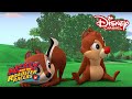 Mickey and the Roadster Racers | Vliegerfestival | Disney Channel NL