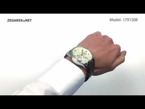 Tommy Hilfiger Męskie 1791208 - Zegarek.net