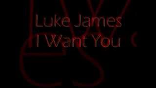 Luke James - I Want You (Lyrics)