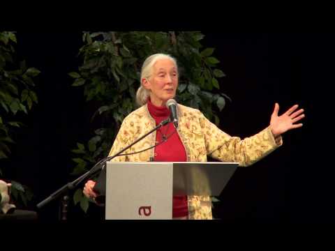 Jane Goodall at Concordia: Sowing the seeds of hope Video