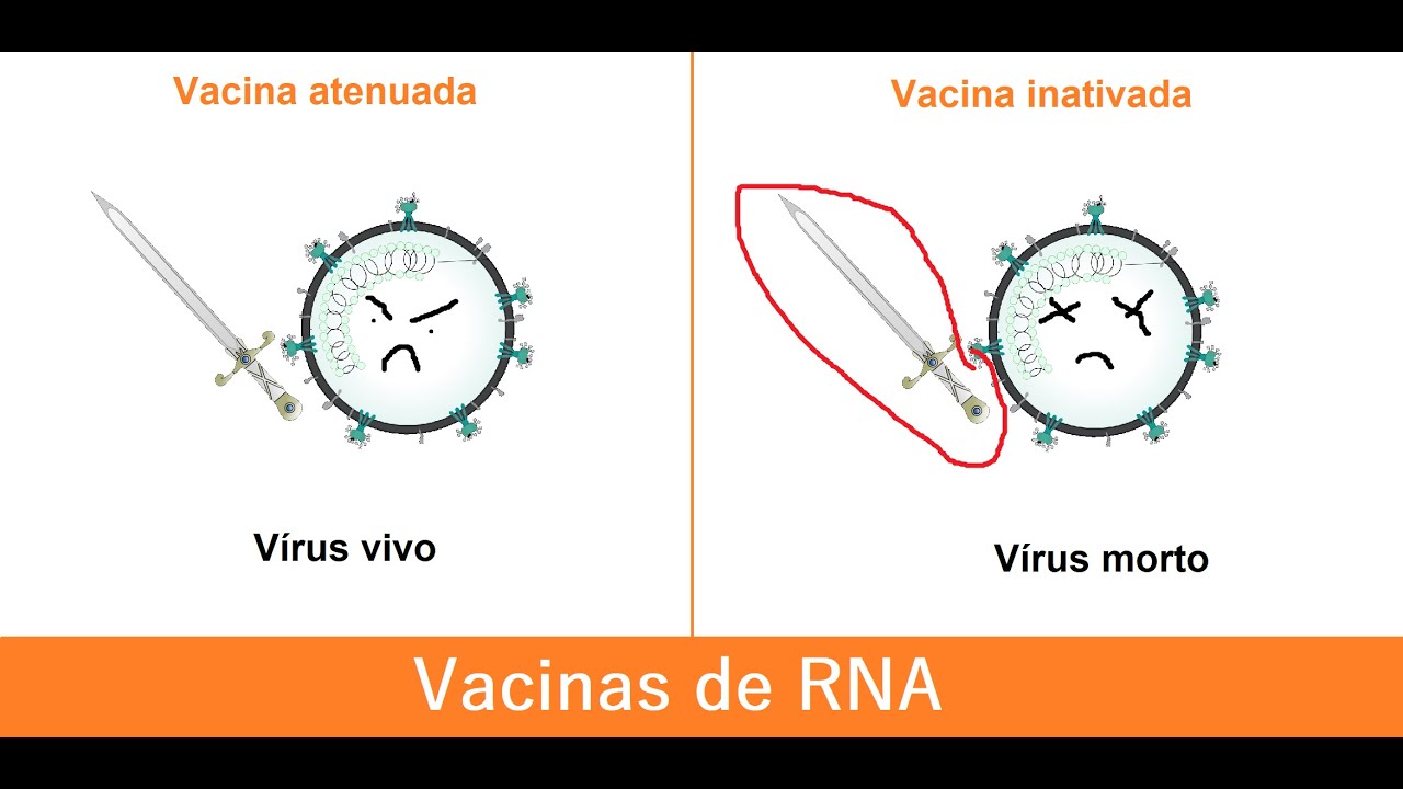 RNA Vaccines (CC)
