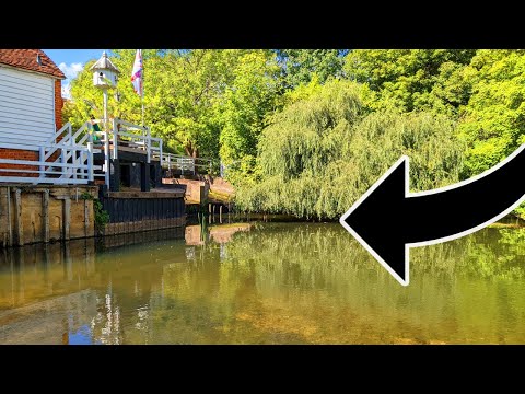 Wading this SMALL River Produced a LOT of Fish (BFS Fishing)