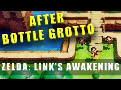 The Legend Of Zelda Link's Awakening where to go after Bottle Grotto (Dungeon/Level 2)