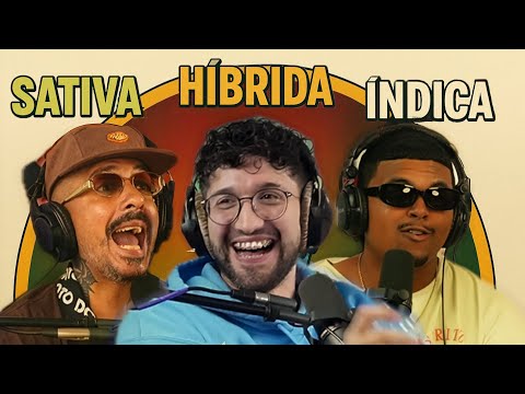 Sativa vs. Indica vs. Hybrid! (w/ Auudi & Ed Medina)