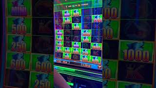 Going to the TOP on Timberwolf Mega Stampede! #slots #casino #jackpot