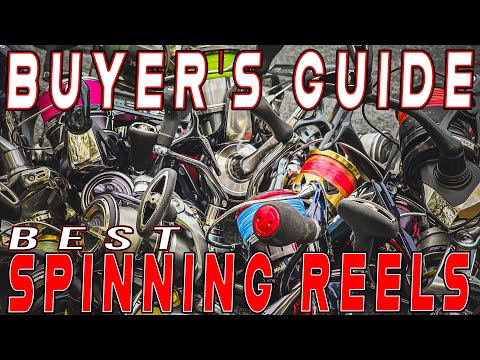 2025 BUYER'S GUIDE: The Best Spinning Reels For Fishing! (Budget To Enthusiast)