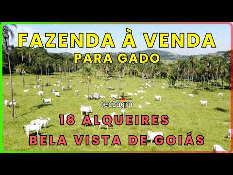 🌱 FAZENDA COMPLETA A 34 KM DE GOIÂNIA | PRONTA PARA MORAR E PRODUZIR #fazenda #tec2agro #agro