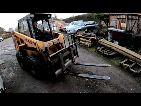 11/02/26  Mikey and the Mustang!