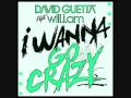 David Guetta feat. Will I am - I wanna go crazy ...