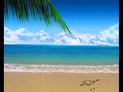 Moonbeam  Eitan Carmi  Matvey Emerson   Wanderer  Eitan Carmi Mix