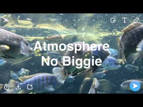 Video thumbnail for No Biggie