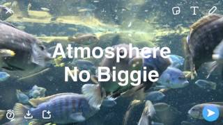 Atmosphere - No Biggie (Official Audio)