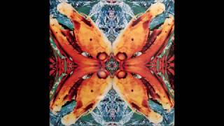 Acid Horse - No Name, No Slogan (Cabaret Voltaire Mix) (B)