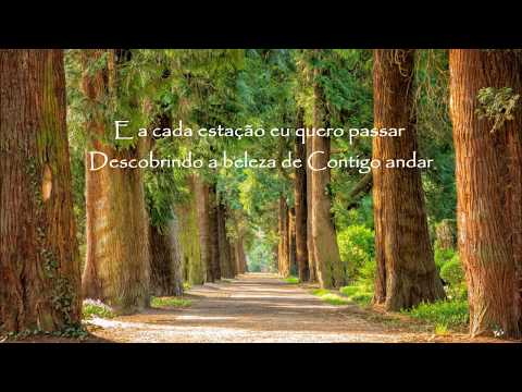 Tu és a razão - Amanda Rodrigues || Lyric Video