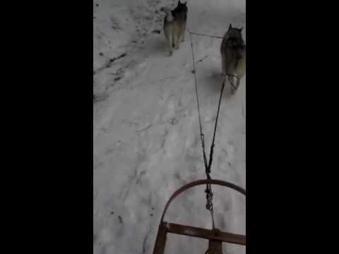 Jamaica VT State Park, West River Rail Trail