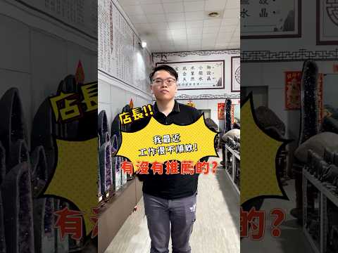 觀龍風水