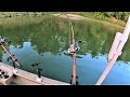 Tips For Catching FLATHEAD CATFISH With CUTBAIT Works Anywhere