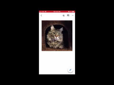 Turning Your EN240 Google Doc Assignment Into a pdf with iPhone