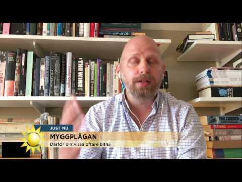 Så undviker du att bli myggbiten - Nyhetsmorgon (TV4)