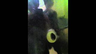 spider slayer celebration