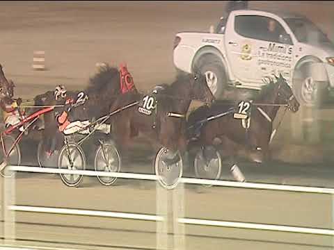 Trotto 01/03/2019 - 7ª corsa