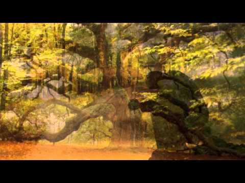 Këndvështrim Islam - Kujdesu per veten.