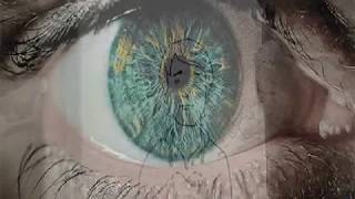 Austra-Forgive Me (Legendado PT)