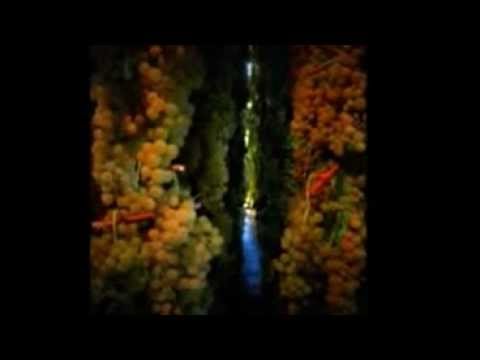 Fattoria di Montemorli (Poggibonsi,Siena)