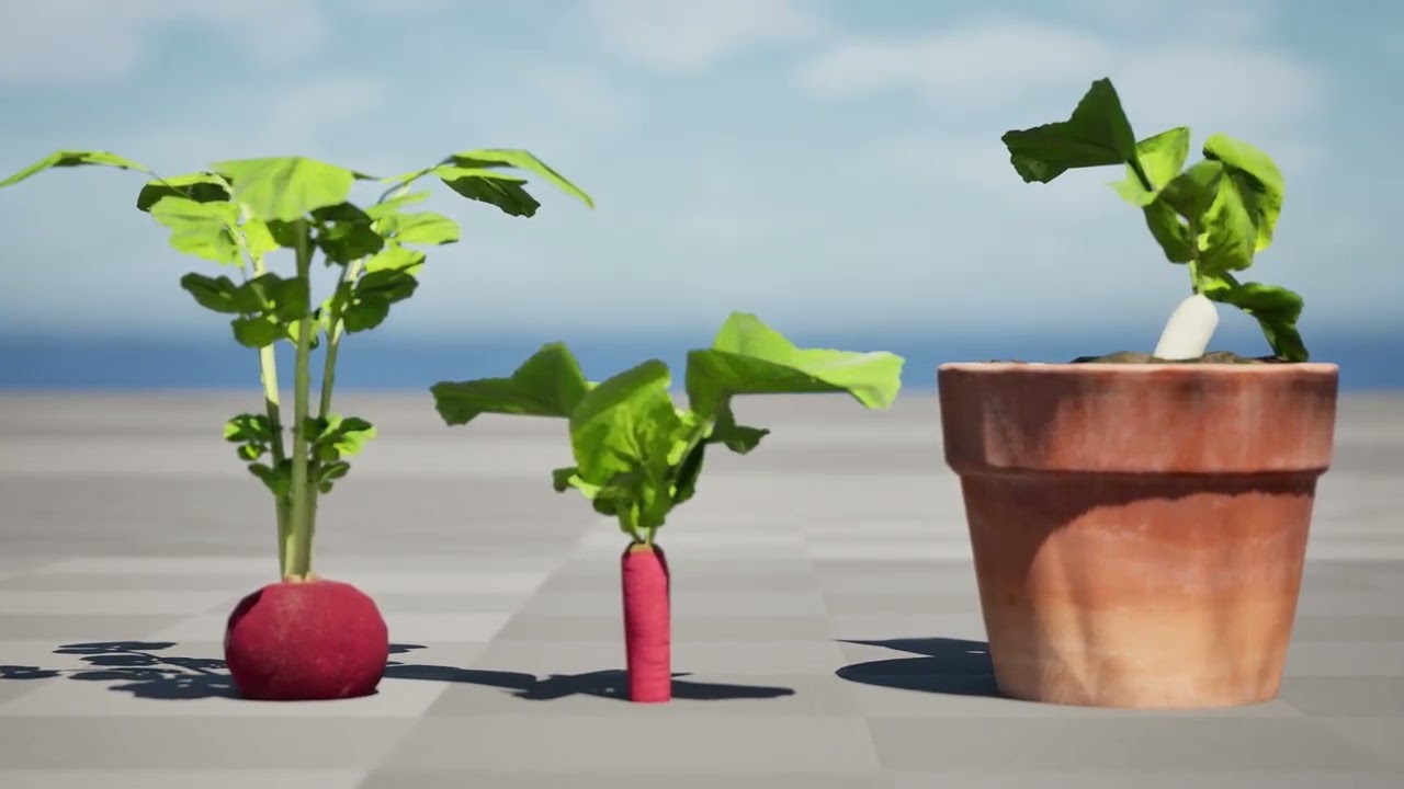 Radish Plant Collection 3D Model