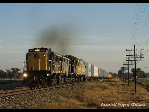 Alcos on the Harefield Shunt - 864, 872 & 8030