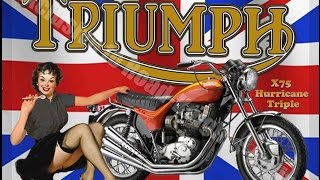 THE SHADOWS Hammerhead