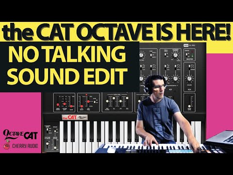 🔥 Octave the CAT Synth | NO TALKING SOUNDS LIVE EDITING | Cherry Audio | @AGDugros
