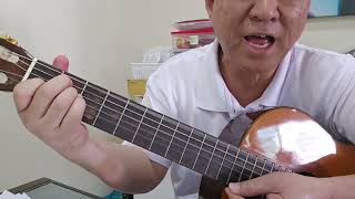 宝贵十架 Precious Cross - Guitar Strumming tutorial.