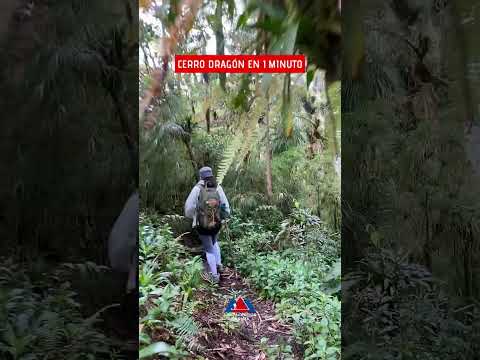 CERRO DRAGÓN en 1 minuto