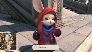 FF14～コスモエクスプローラー～