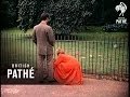 Tame Fox Beware Other Colour Pics Share This Title 1956