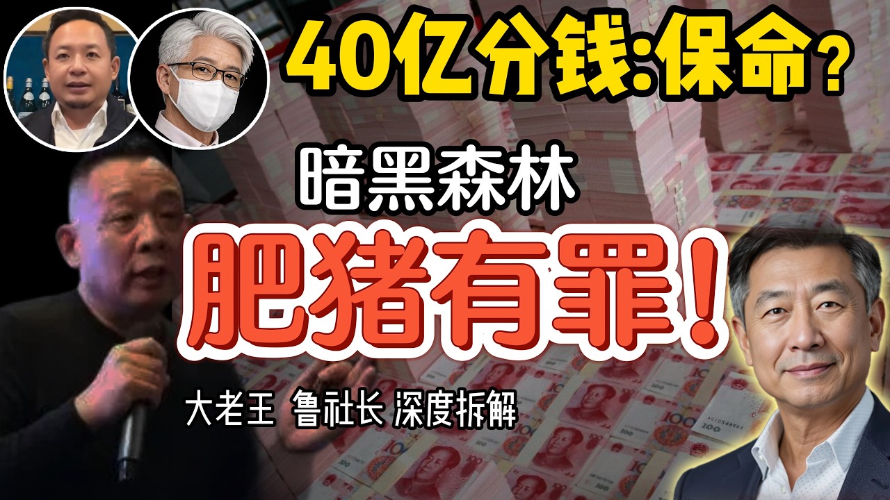 大老王 vs 鲁社长：关于胖东来40亿分钱真相，是真大方还是另有算盘？ #中国 #政治 #经济  #商业 #财富