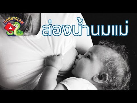 คลิกเพื่อดูคลิปวิดีโอ