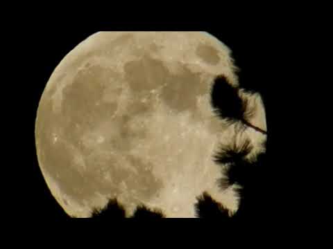 Me Cuesta Tanto Olvidarte - Nacho Cano