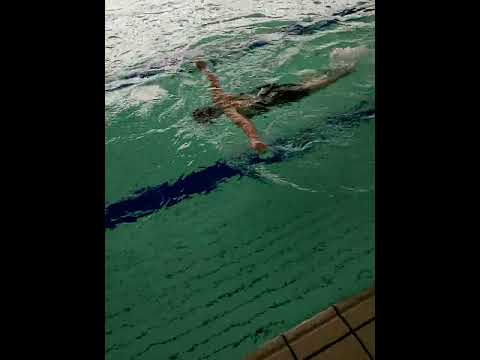 コンテンポラリー テラス エキゾチック デザイン ベッド ビーチ ウッド