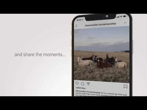 Downunder Horsemanship Instagram: The Moments That Make the Method