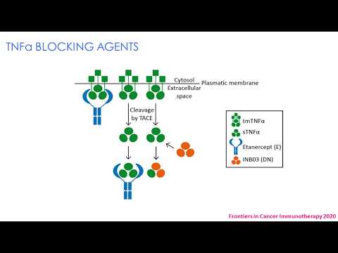 Combinib 250mg Tablet
