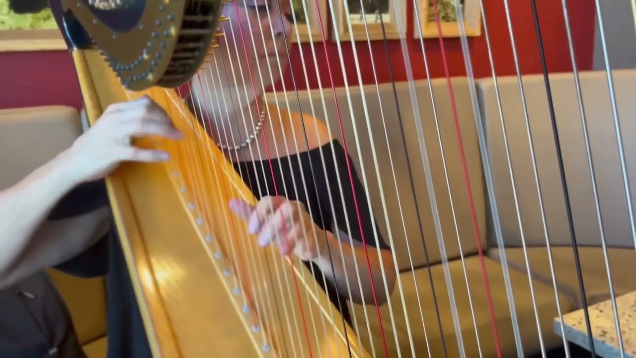 Promotional video thumbnail 1 for Harpist/Karolyn Witcher