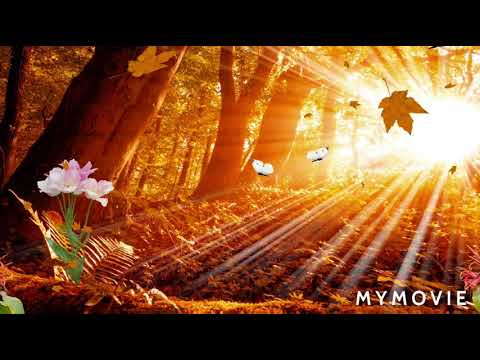 Awesome nature in the lap of Earth